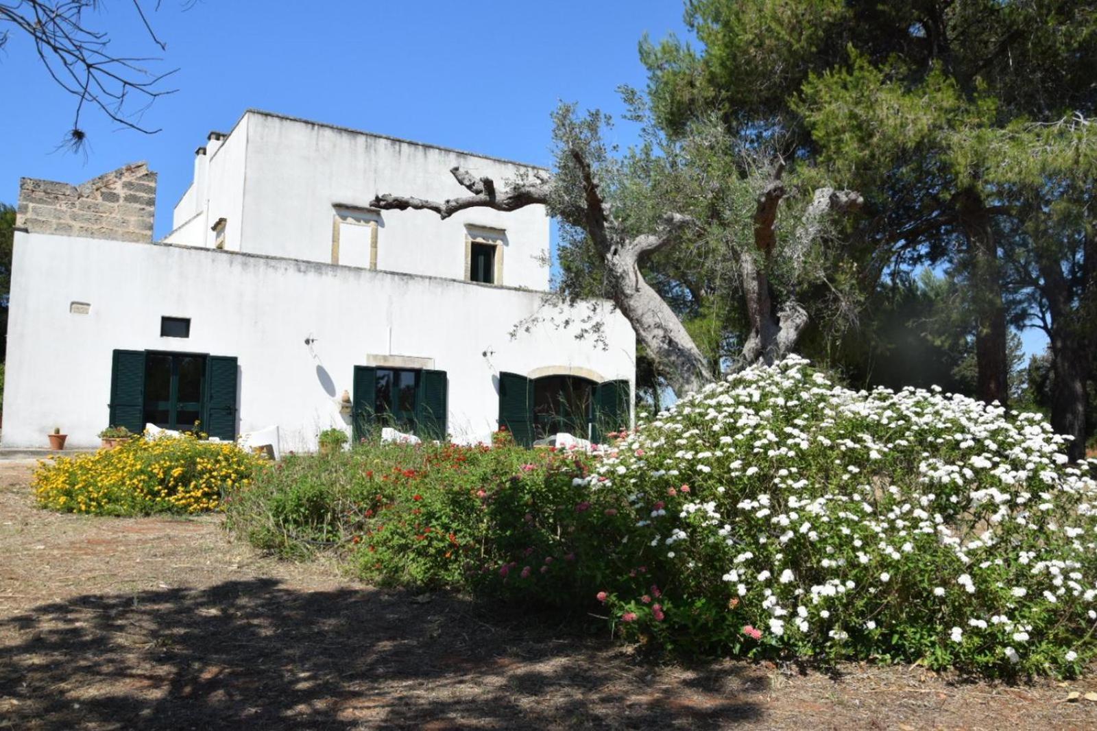 غالاتينا Masseria Fracchicchi المظهر الخارجي الصورة